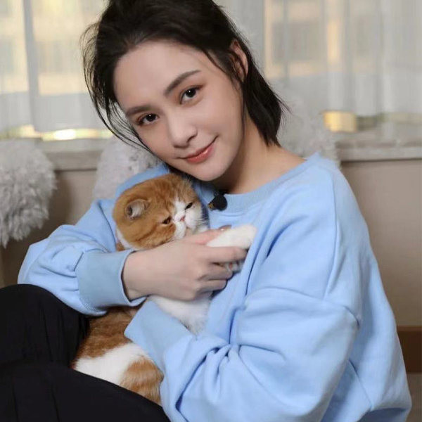 Juhuslik sinise värvi puhta disainiga dressipluus