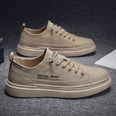 Erinevates värvitoonides nahast meeste tossud