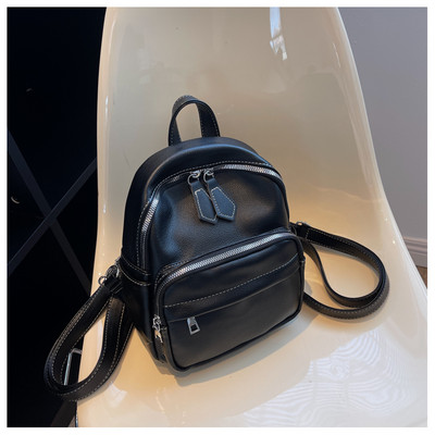 Naujo modelio moteriška kuprinė su petnešėlėmis - kelių spalvų