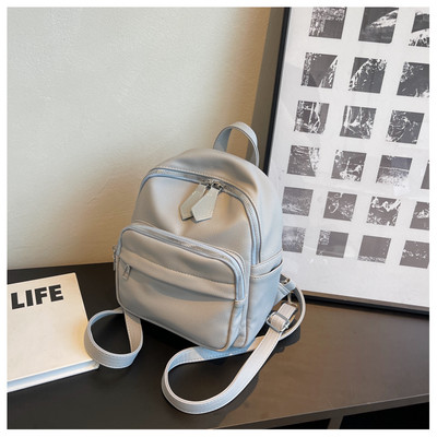 Naujo modelio moteriška kuprinė su petnešėlėmis - kelių spalvų