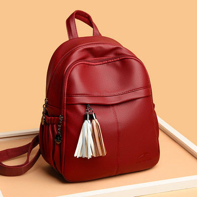 Moteriška kuprinė - naujas švarus modelis su užtrauktuku