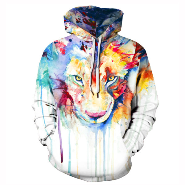 Värviline meeste kapuutsiga dressipluus