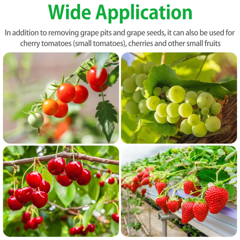 Vynuogių pjaustyklė, saugus netoksiškas PP vynuogių braškių pjaustytuvas su aštriais nerūdijančio plieno ašmenimis universaliu pomidorų vyšnių pjaustytuvu