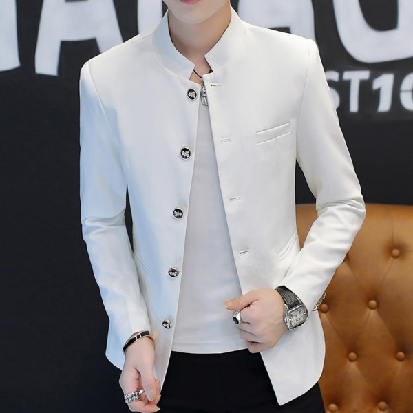 Vyriška sportinė-elegantiška įvairių spalvų striukė