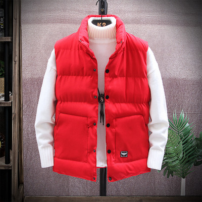 Vesta pentru barbati model nou cu gluga in multe culori