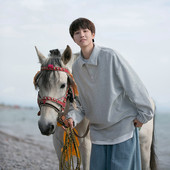 Vyriška palaidinė su švaraus rašto apykakle