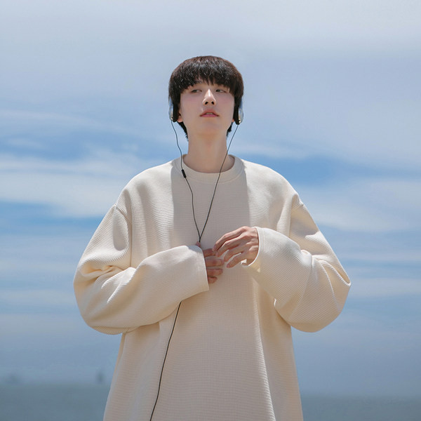 Vyriškos palaidinės švarus modelis trijų spalvų