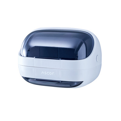 TERUP vandeniui atspari muilo dėžutė vonios kambariui prie sienos montuojama muilo indelė, skirta namų nusausinamai laikymo dėžutei, dulkėms atsparus vonios kambario priedų rinkinys