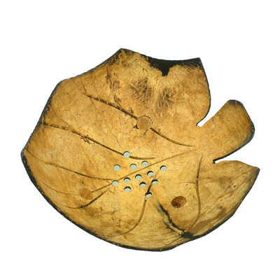 Kókuszos szappantál Kreatív tányérok Rajzfilm Szappandoboz Kókuszhéj Aranyos Szappantál tárolótálca Ékszerszervező