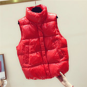 Moteriška spalvinga liemenė aukšta apykakle