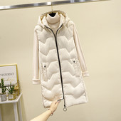 Moteriška liemenė su gobtuvu ir aukšta apykakle