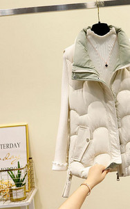 Vesta de toamna cu guler inalt de dama