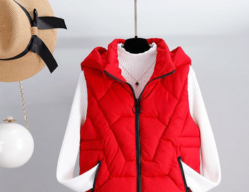 Moteriška liemenė su kaklaraiščiais ir kišene