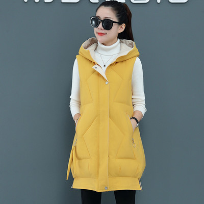 Stora rudens-žiemos liemenė su gobtuvu įvairių spalvų