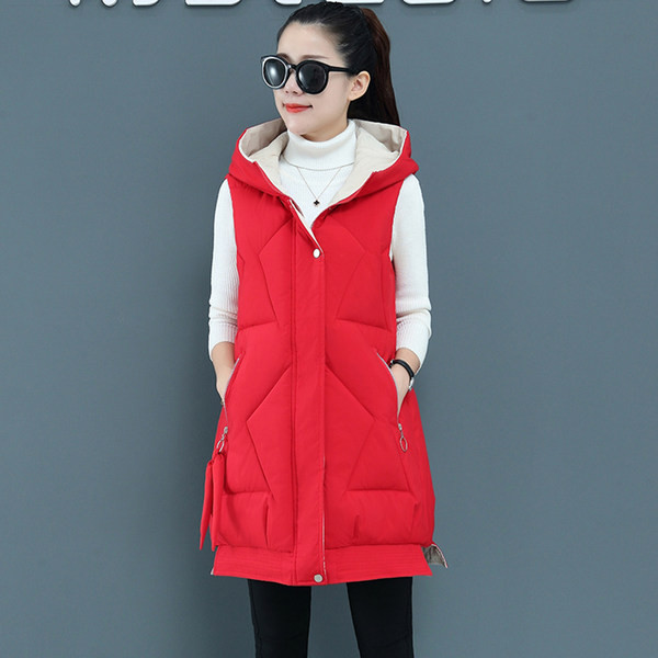 Stora rudens-žiemos liemenė su gobtuvu įvairių spalvų