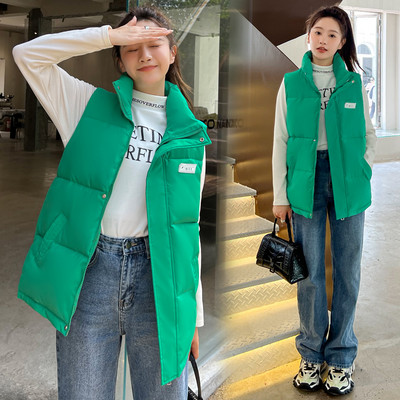 Naujo modelio moteriška liemenė aukšta apykakle - kelių spalvų