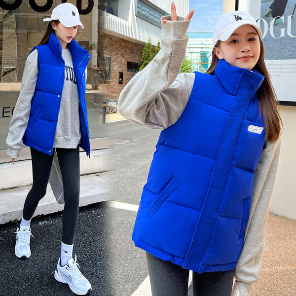 Naujo modelio moteriška liemenė aukšta apykakle - kelių spalvų