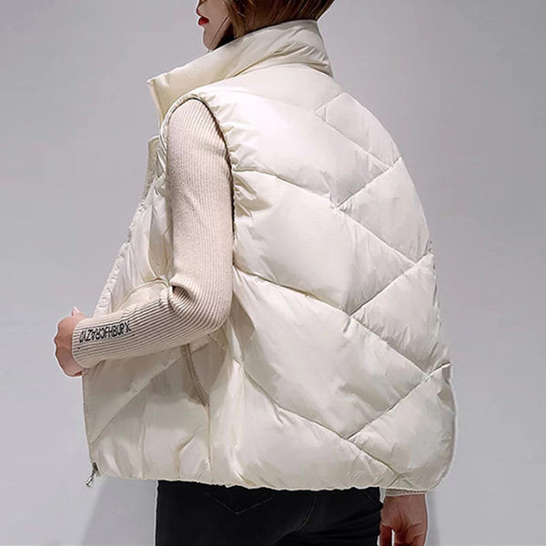 Vesta de dama model curat cu guler inalt si buzunar