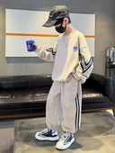 Sportski komplet hlača i bluze s printom za dječake