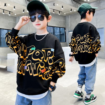 Hanorac de toamna copii pentru baieti cu litere