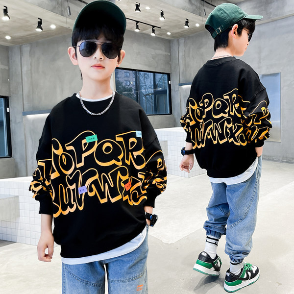 Hanorac de toamna copii pentru baieti cu litere