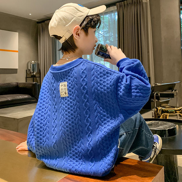 Bluza za dječake s ukrasnim pletivom i O izrezom