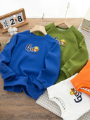 Dječji sweatshirt za dječake s vezom