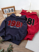 Hanorac pentru copii pentru baieti cu broderie puf