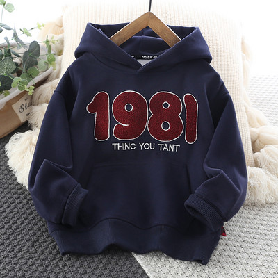 Hanorac pentru copii pentru baieti cu broderie puf