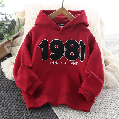 Hanorac pentru copii pentru baieti cu broderie puf