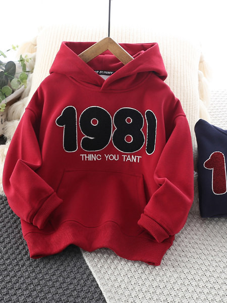 Hanorac pentru copii pentru baieti cu broderie puf