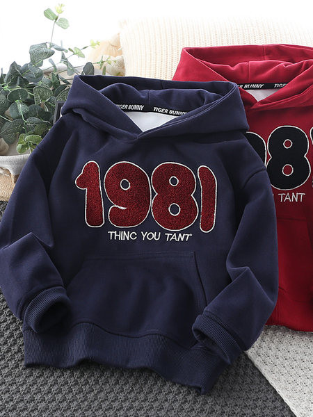 Hanorac pentru copii pentru baieti cu broderie puf