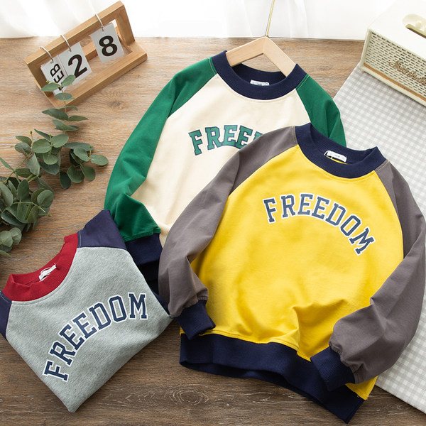 Bluza casual cu aplicatie pentru baieti