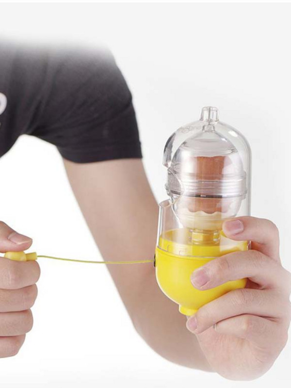 Kiaušinių plaktuvas Auksinis kiaušinių plaktuvas Maišytuvas Kiaušinių plaktuvas lukšto viduje Rankinis virtuvės gaminimo įrankis Priedas