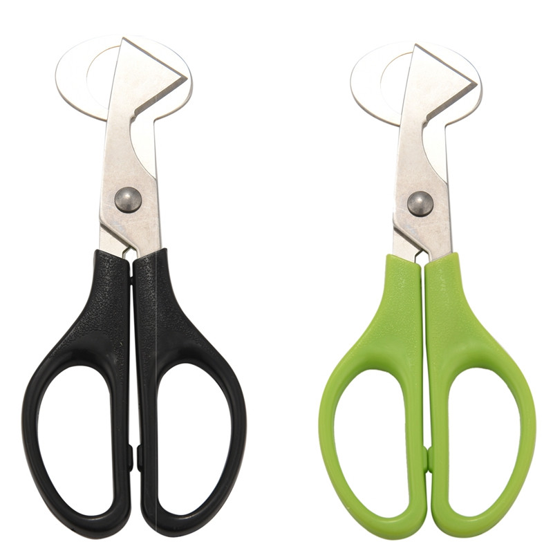 10 buc. foarfece pentru ouă de prepeliță, tăietoare de coajă de ouă de prepeliță, separator, pentru ouă de prepeliță mici, foarfece de prepeliță, deschizător, tăietor de trabucuri