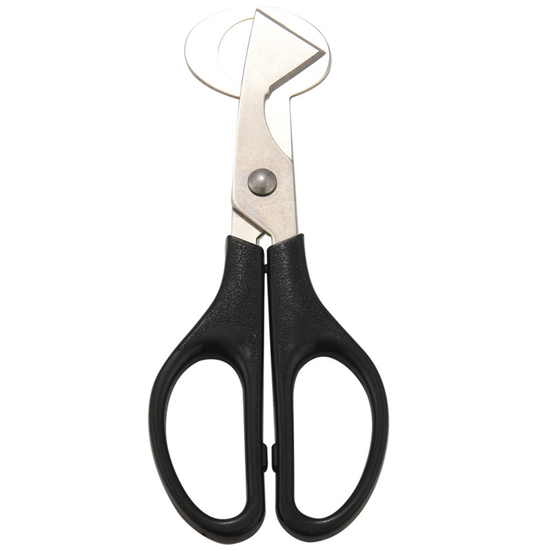 10 buc. foarfece pentru ouă de prepeliță, tăietoare de coajă de ouă de prepeliță, separator, pentru ouă de prepeliță mici, foarfece de prepeliță, deschizător, tăietor de trabucuri