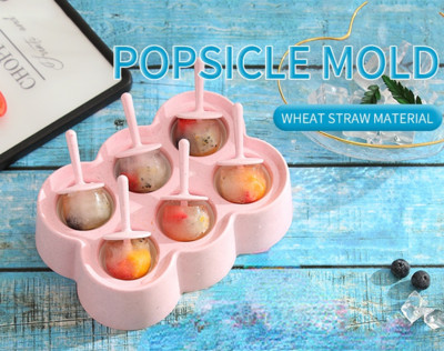 Formă pentru înghețată cu 6 grile pentru paie de grâu, formă de mucegai pentru gheață pentru aparat de înghețată, forme pentru cuburi de gheață pentru fructe, accesorii de bucătărie, Dropshipping