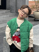 Tvarkingas berniukų užsegamos liemenės modelis