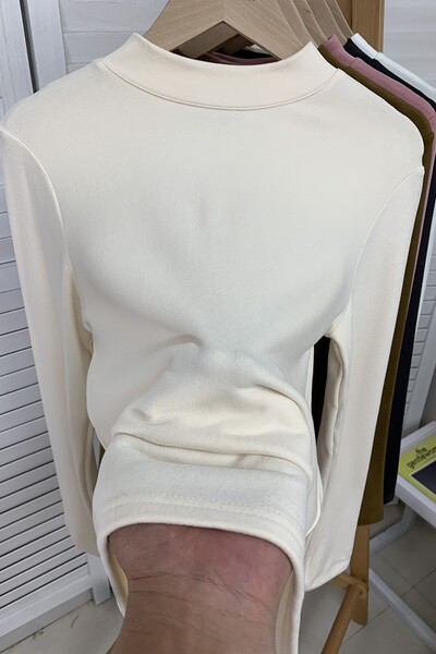 Jesensko-proljetna ženska bluza clean model