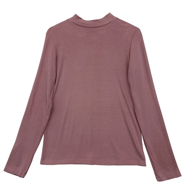 Jesensko-proljetna ženska bluza clean model