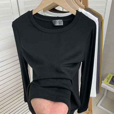 Švaraus modelio kelių spalvų prigludusi palaidinė