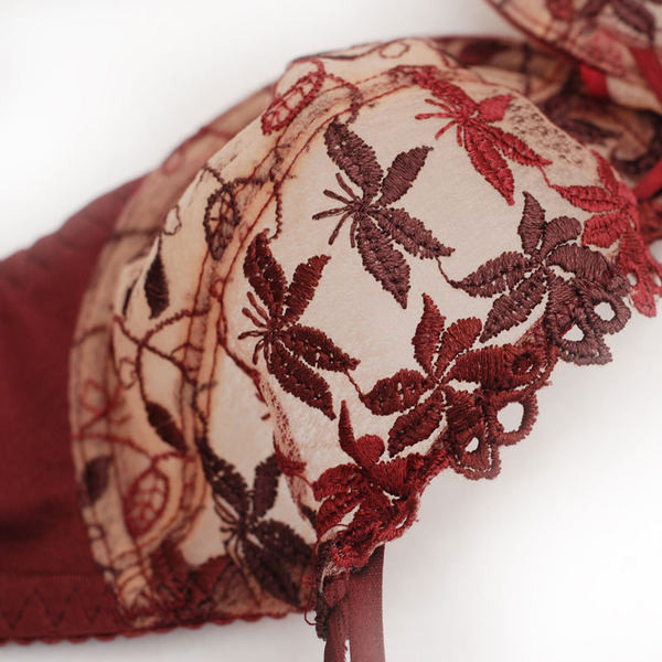 Ženski grudnjak i bikini komplet s čipkom i printom