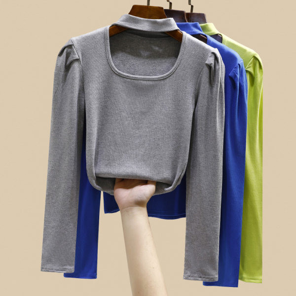 Naujo modelio moteriška palaidinė ilgomis pūstomis rankovėmis