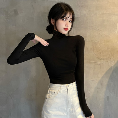 Puhta mudeliga naiste polokrae ja pikkade varrukatega pluus