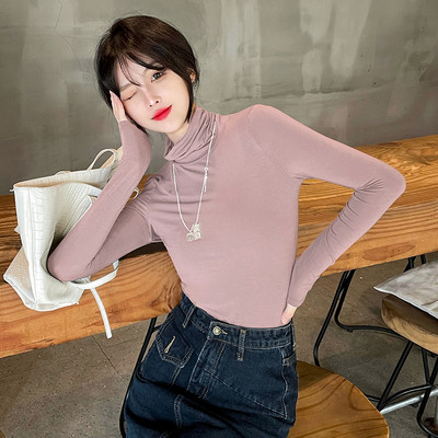 Puhta mudeliga naiste polokrae ja pikkade varrukatega pluus