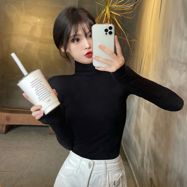 Puhta mudeliga naiste polokrae ja pikkade varrukatega pluus