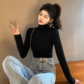 Naiste igapäevane polo puhas mudel