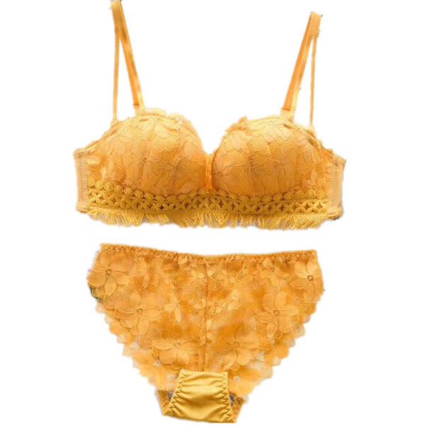 Dviejų dalių moteriškas nėriniuotas liemenėlė ir kelnaitės aukštu liemeniu