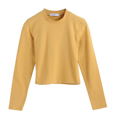 Naiste pluusi puhas muster