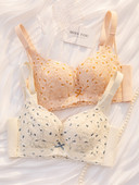 Naiste kaasaegne rinnahoidja paela ja reguleeritavate rihmadega